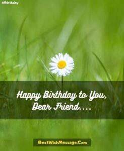 35 Emotional Birthday Wishes for Ex Best Friend | Messages, Quotes